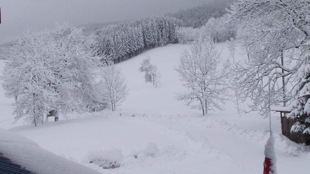 Hotel Le Grand Chalet Foncine-le-Haut Buitenkant foto