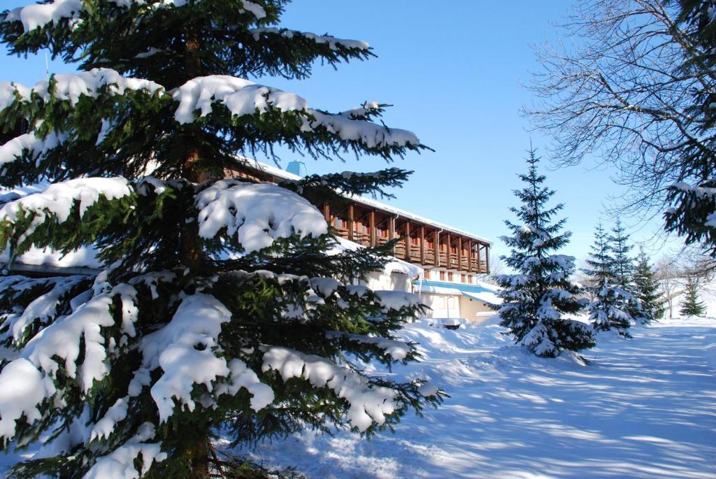 Hotel Le Grand Chalet Foncine-le-Haut Buitenkant foto